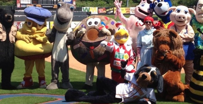 3 important considerations in choosing the right school mascot